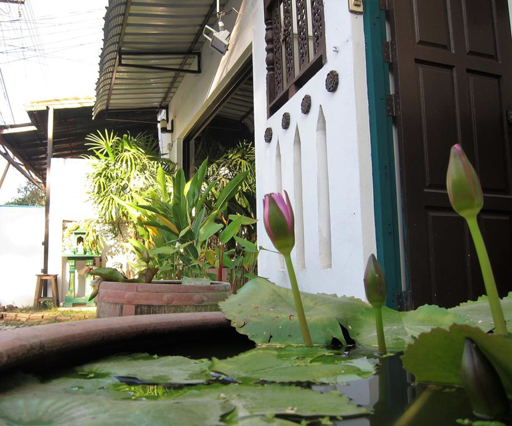 V Lodge Chiang Mai Extérieur photo